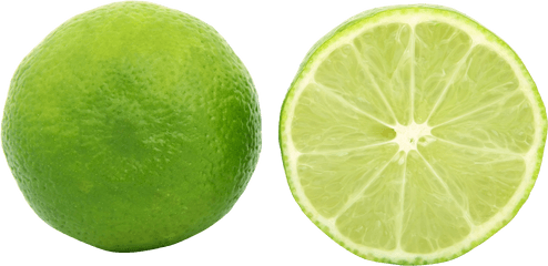 Drawing Lemons Sweet Lime Transparent - Green Lemon Slice Png