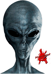 Alien Gray - One Alien Png