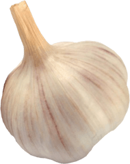 Garlic Png Image