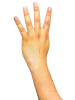 Arm Transparent Background - Free PNG