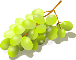 Vector Green Grapes PNG File HD