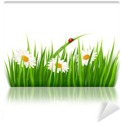 Nature Background With Green Grass And Flowers Vector Wall Mural U2022 Pixers - We Live To Change Png