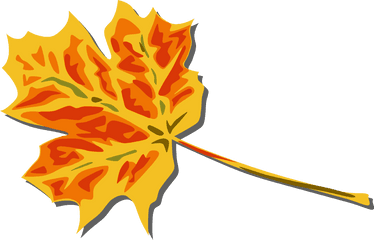 Fall Autumn Leaves Clipart Transparent Background - Clip Art Bay Fall Leaves Clip Art Png