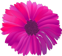 Pinkchrysanthsflower Png Clipart - Royalty Free Svg Png Pink Flower Clip Art