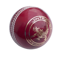 Cricket Ball Png