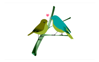 Love Birds Transparent - Free PNG