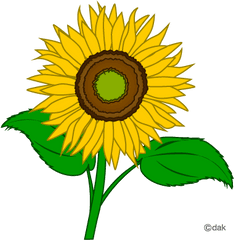 Download Sunflower Microsoft Transparent Image Clipart Png - Sunflower Clipart