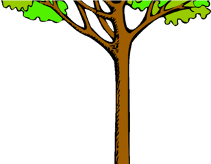 Tree Clipart Rainforest - Cartoon Kauri Tree Tall Tree Clipart Png