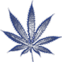 Cannabis Kreations Canabiskreation Twitter - Transparent Transparent Background Weed Leaf Png