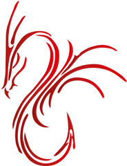 Cropped - Croppeddpadrache512x512png Dragon U0026 Phoenix Art Dragon And Phoenix Logos