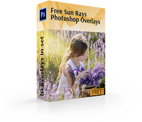 View More Free Sun Ray Overlays 10 Photoshop - English Lavender Png