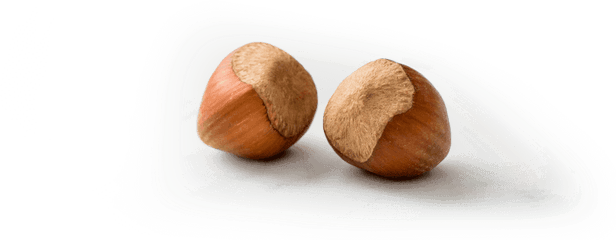 Why Choose Hazelnuts - Mexican Pinyon Png