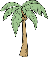 Palm Tree Clipart - Fresh Png