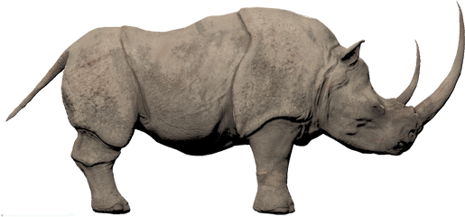 White Rhino Conan Exiles Clipart - Conan Exiles White Rhino Png