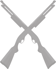 Home Irish Shooting Sports - Shotguns Crossed Vector Png