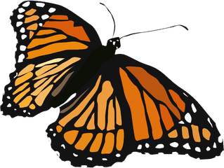 Animation Helen Kemper - Monarch Butterfly Png