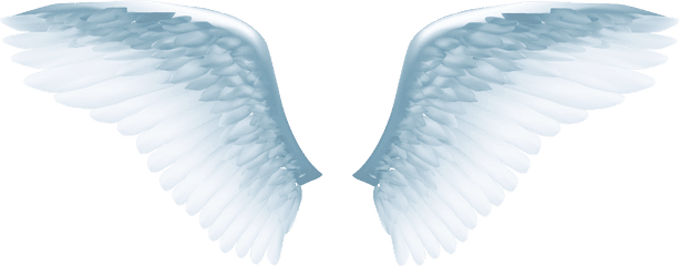 Download White Angel Wings Png - White Angel Wings Png