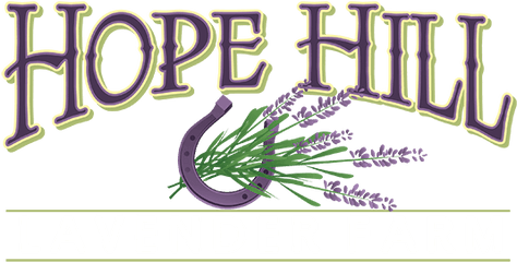 Hope Hill Lavender Farm Png Lavendar Icon