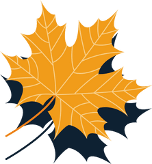 Maple Leaf Autumn - Autumn Leaves Collection Vector Material Maple Png