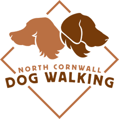 North Cornwall Dog Walking - Dog Png