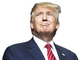 Donald Trump Png