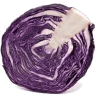 Purple Cabbage Half Free Clipart HQ - Free PNG