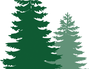 Pine Trees Cliparts - Pine Tree Silhouette Png