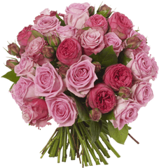 Png Pink Roses Flowers Bouquet - Free Images Flowers Bouquet