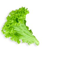 Lettuce Green Free Clipart HD - Free PNG