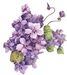 Png V73 Backgrounds 3d Purple Flowers Bf - 17 Lavender Flower Vintage Png