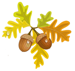 Transparent Fall Leaves With Acorns - Leaves And Acorns Clipart Png