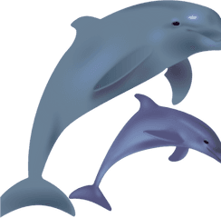 Dolphin Png Transparent Images - Dolphin Clipart