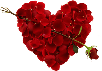 Heart Hd Images Download - Artistic Joyful My Husband Is My Life Png