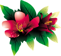 Png Tropical Flowers Transparent Flowerspng Images - Vector Tropical Flower Png