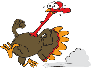 Running Turkey Vector - Turkey Running Clipart Png