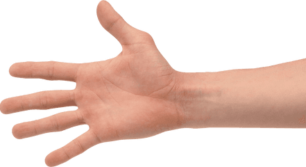 Hand Palm Transparent Png Clipart - Hand Png