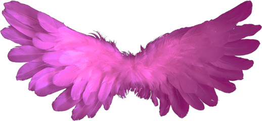 Angelwingsfeatherheavenangel Wings - Free Image From Baby Angel Wings Png