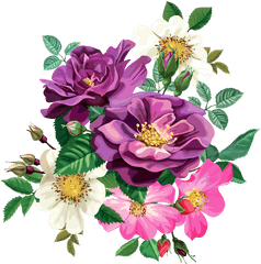 Saurabh Png Flower Clipart Transparent