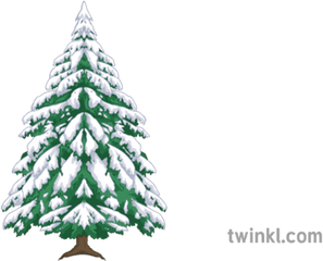 Alpine Tree Maths Snow Winter Secondary Illustration - Twinkl Transparent Alpine Tree Png