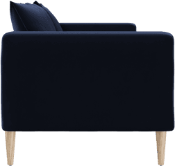 The Essential Sofa - Sofa Side View Png