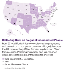 Pregnancy In Prison Statistics Pips The Project - States With Death With Dignity Laws Png