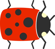 Ladybug Insect Cute HD Image Free - Free PNG