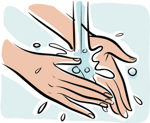 Person Washing Hands Close - Up Of Hands Health And Washing Hands Transparent Background Png