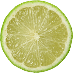 Download Lime Slice - Key Lime Png