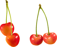 Cherry Png Image