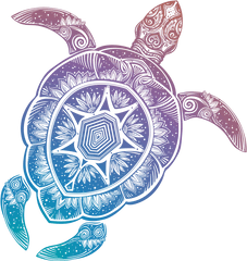 Download - Loggerhead Sea Turtle Cartoon Png