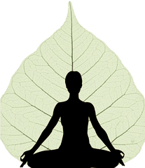 Yoga One Wellness Group - Self Actualization Needs Maslow Png