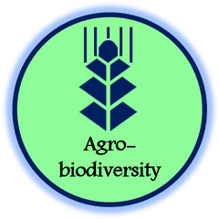 Biodiverse - Vertical Png