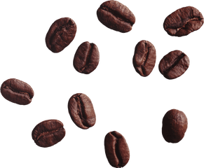 Download Coffee Beans Png Image For Free