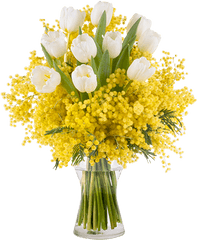 Bouquet Of Tulips With Mimosa - Mimosa Bouquet Png